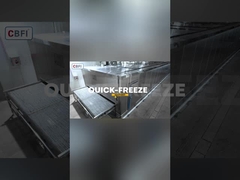 2 Tonnen pro Stunde Tunnel-Schnellgefrierschrank